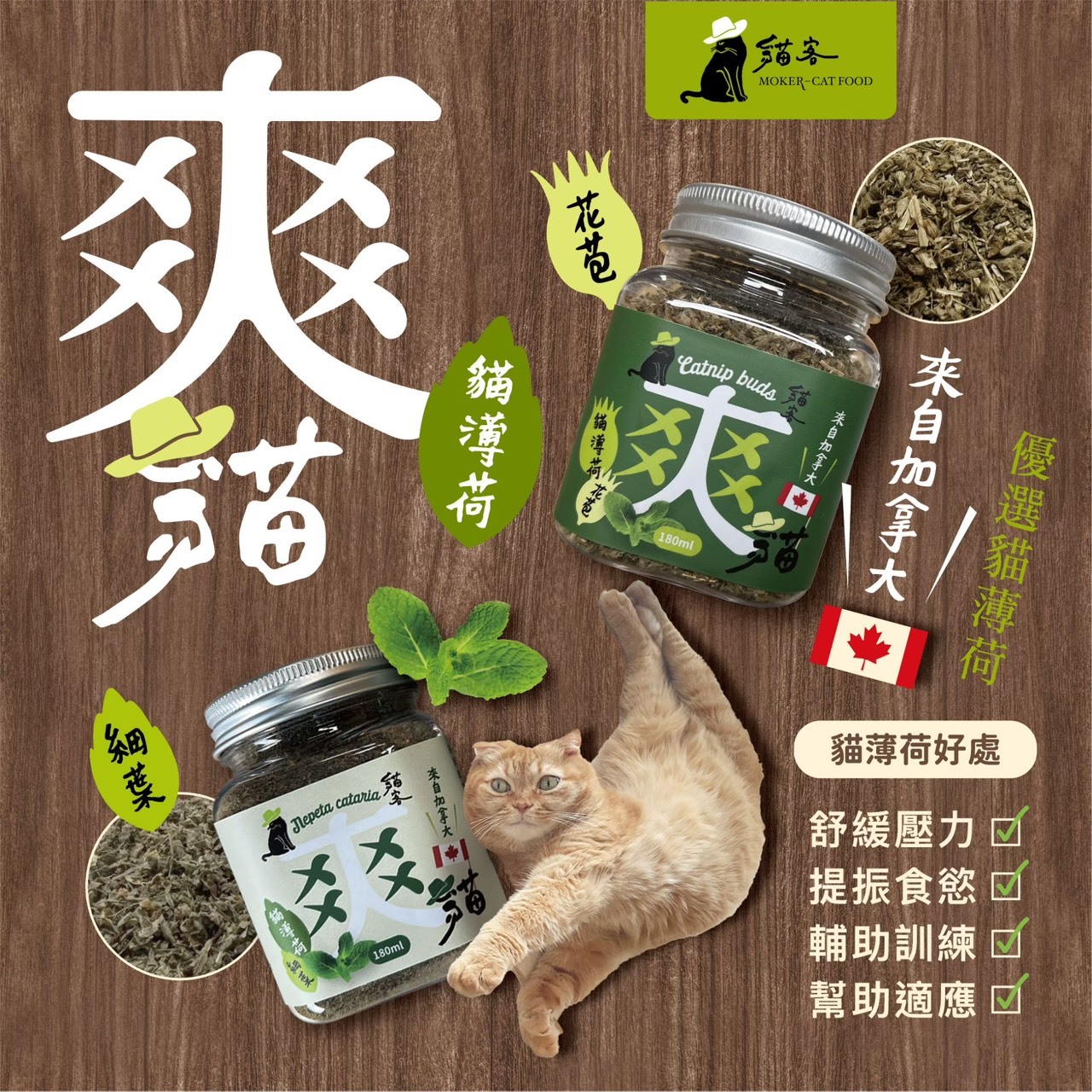 爽貓-貓薄荷180ml