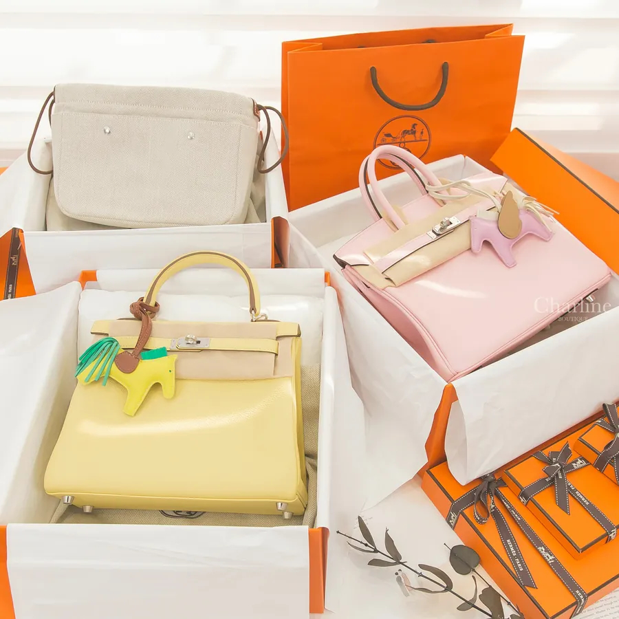 Hermès Birkin 25 第一方商品實拍 3|Charline Boutique