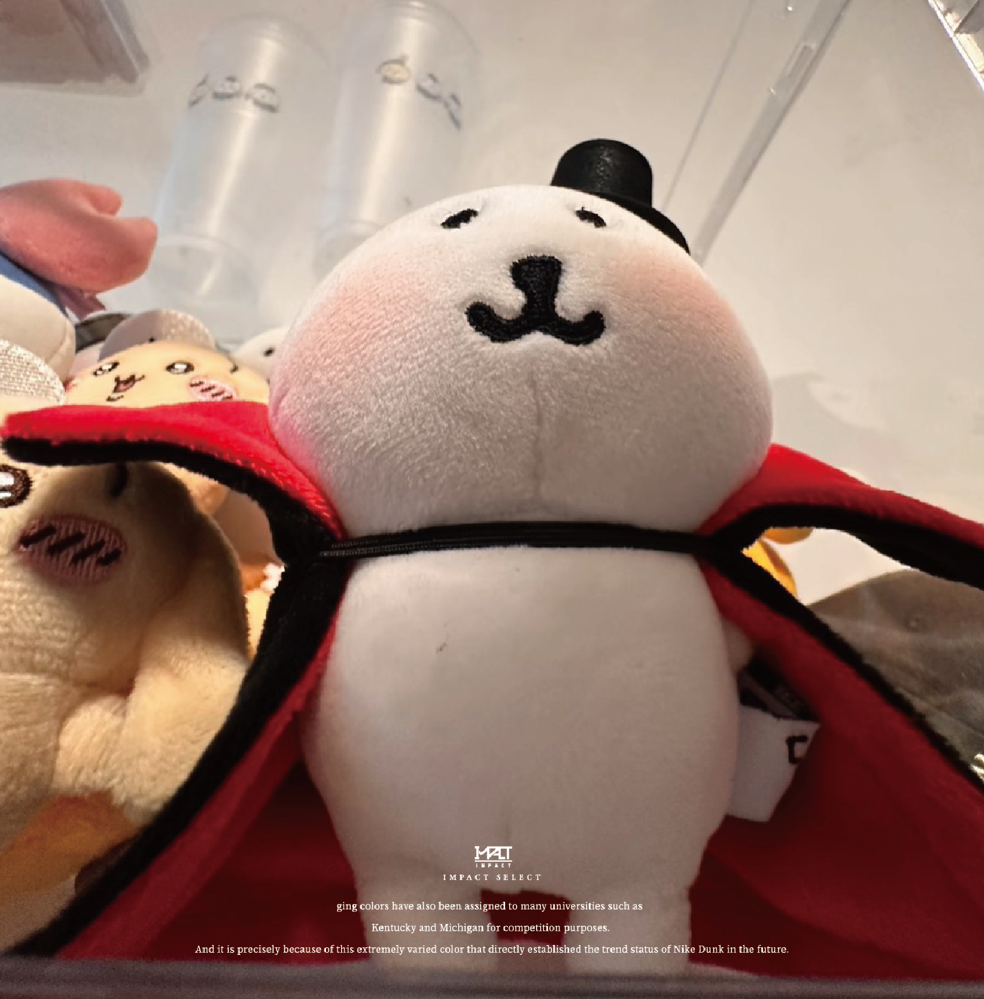 自嘲熊 萬聖節 幽靈小貓 吸血鬼 幽靈海豹