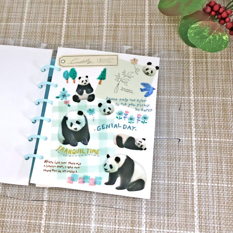 熊貓 動物寫真照片 透明PET貼紙｜日本Mind Wave