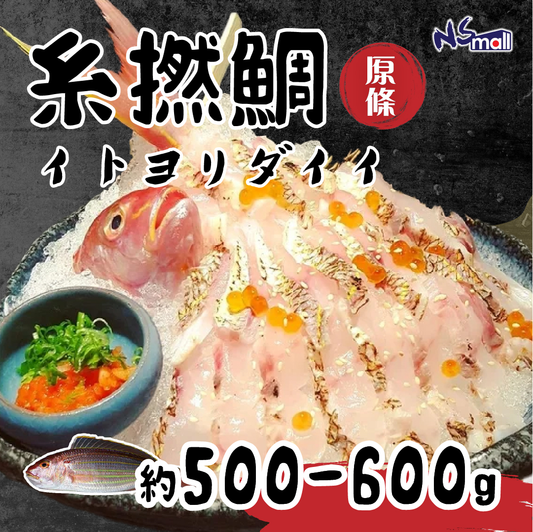 糸撚鯛 約500-600g/條