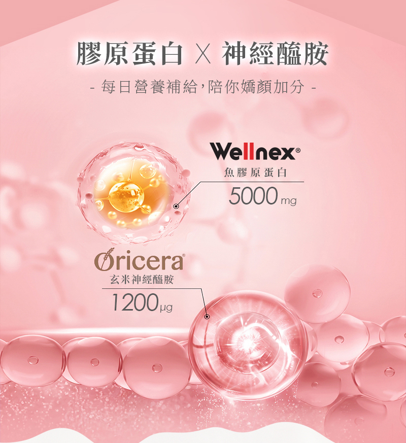 純淨嬌顏膠原蛋白雙成分介紹:每份2包含Wellnex魚膠原蛋白5000毫克與Oricera玄米神經醯胺1200微克