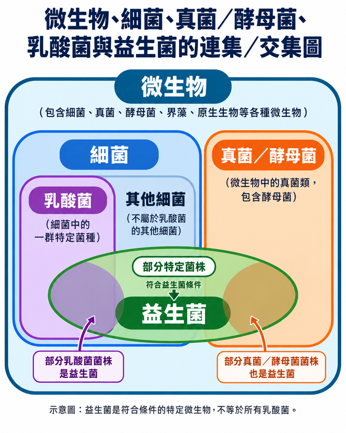 微生物、細菌、真菌/酵母菌、乳酸菌與益生菌的連集與交集關係圖