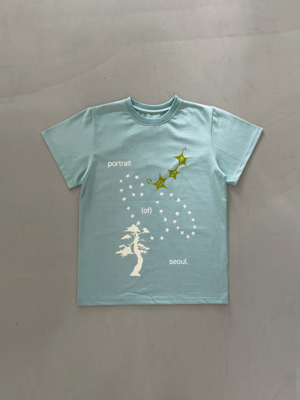 Portrait Seoul Heavy Cotton Sol Graphic T-shirts 26-TOP-008