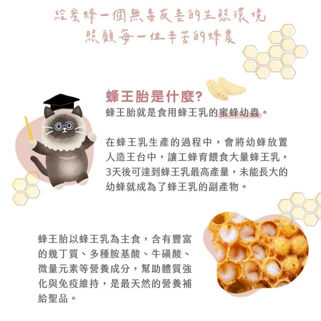 貪貪X蜂之鄉 蜂王胎高蛋白肉泥 13g*4入