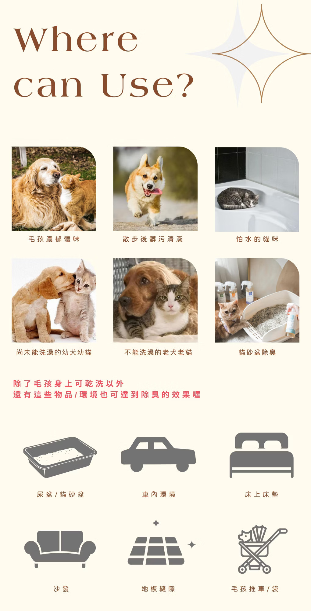 寵心出發 天然草本速淨乾洗噴霧