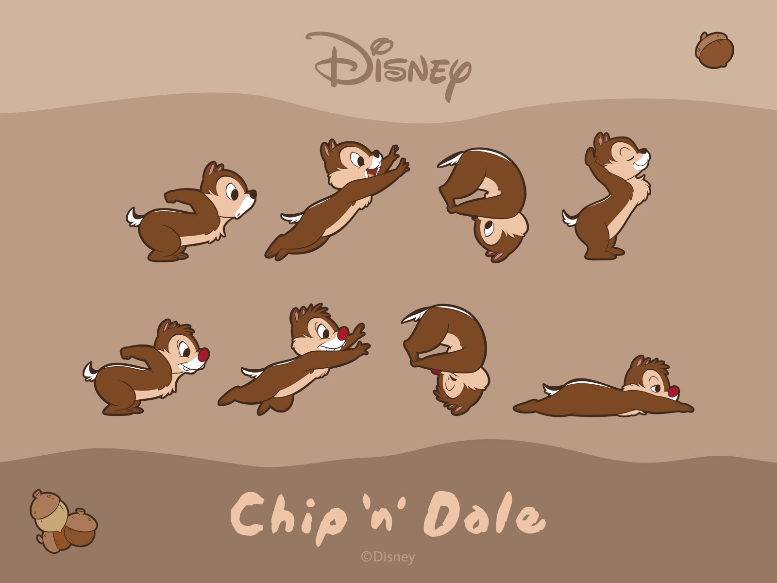 奇奇蒂蒂 Disney 正式授權系列