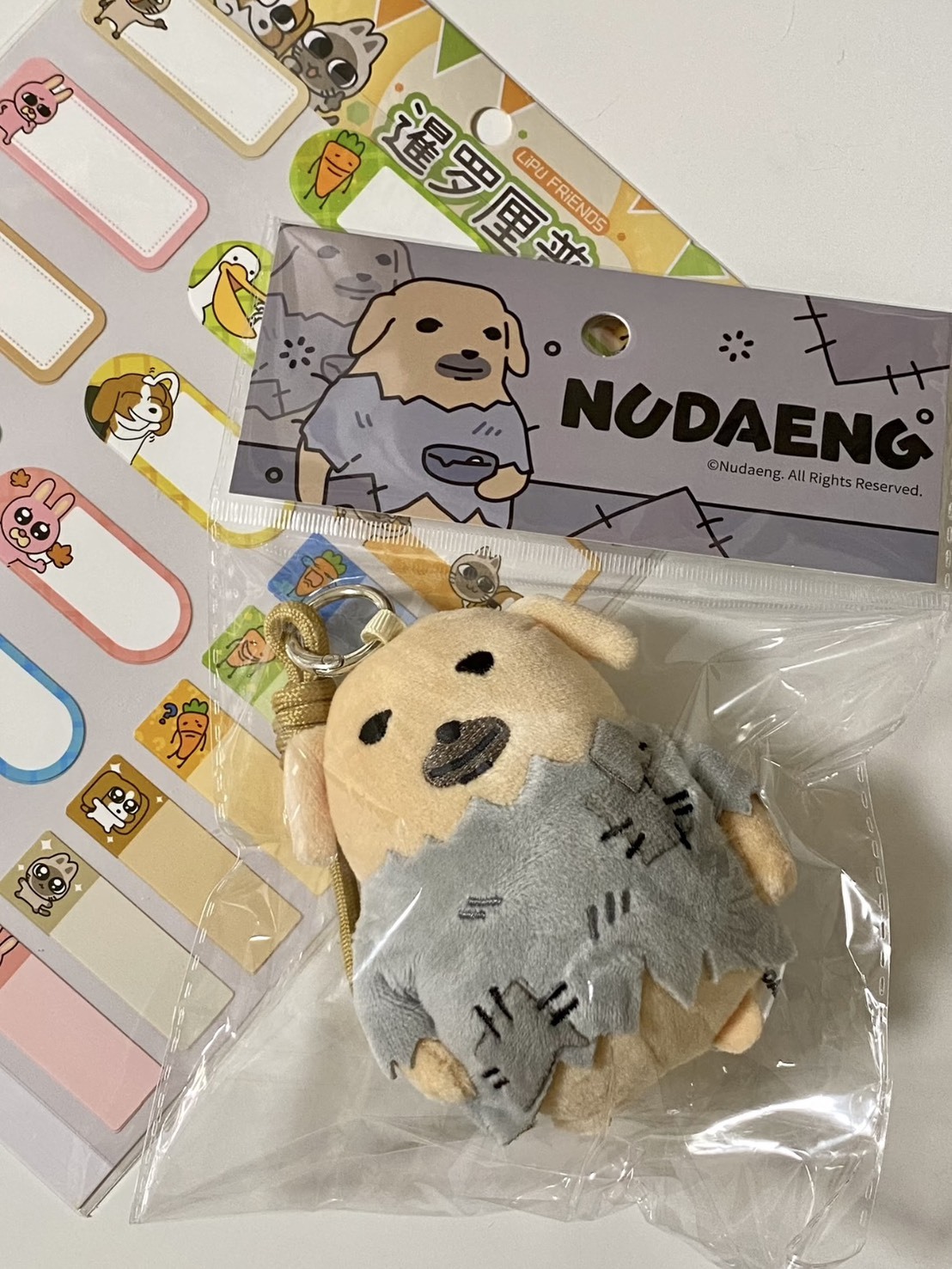 （預購）Nudaeng 蘸醬狗 月底吃土 乞丐款 毛絨吊飾