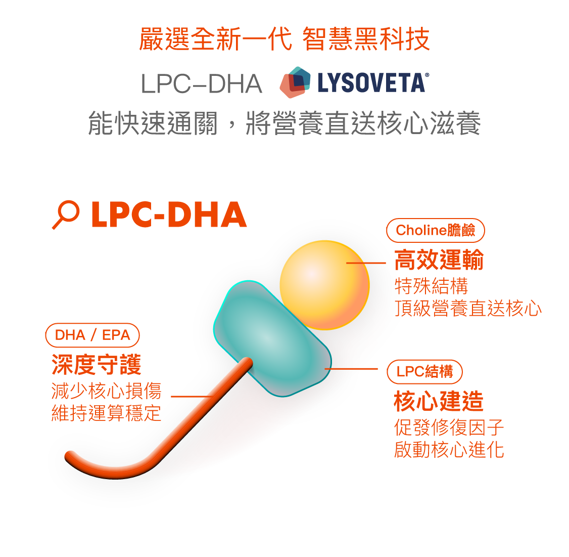 為什麼提升專注內容