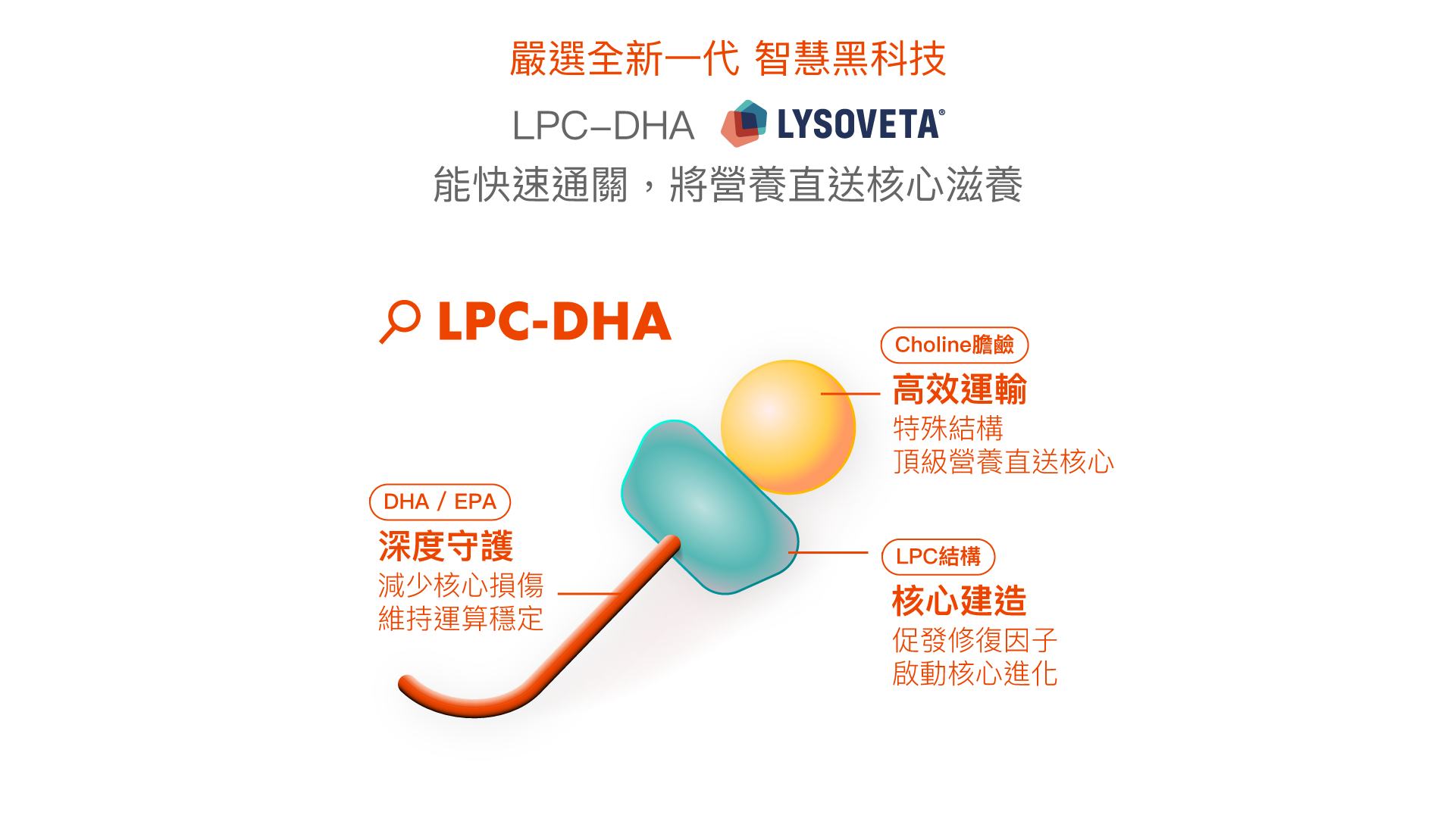 為什麼提升專注內容