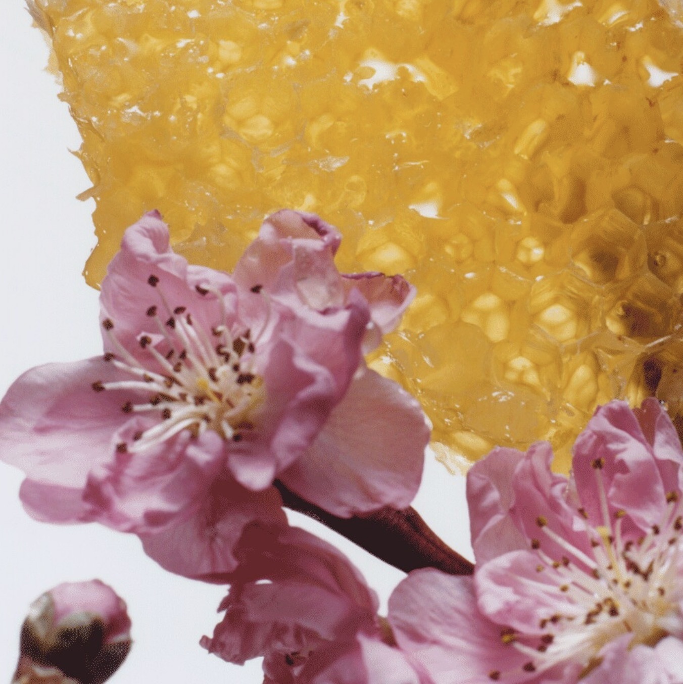 JO MALONE 香水30ML $298/1 枝 ，2枝起$288