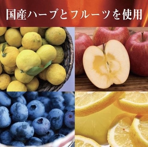 【信州限定】JP 水果和紅茶包 10包 4901 TK260924