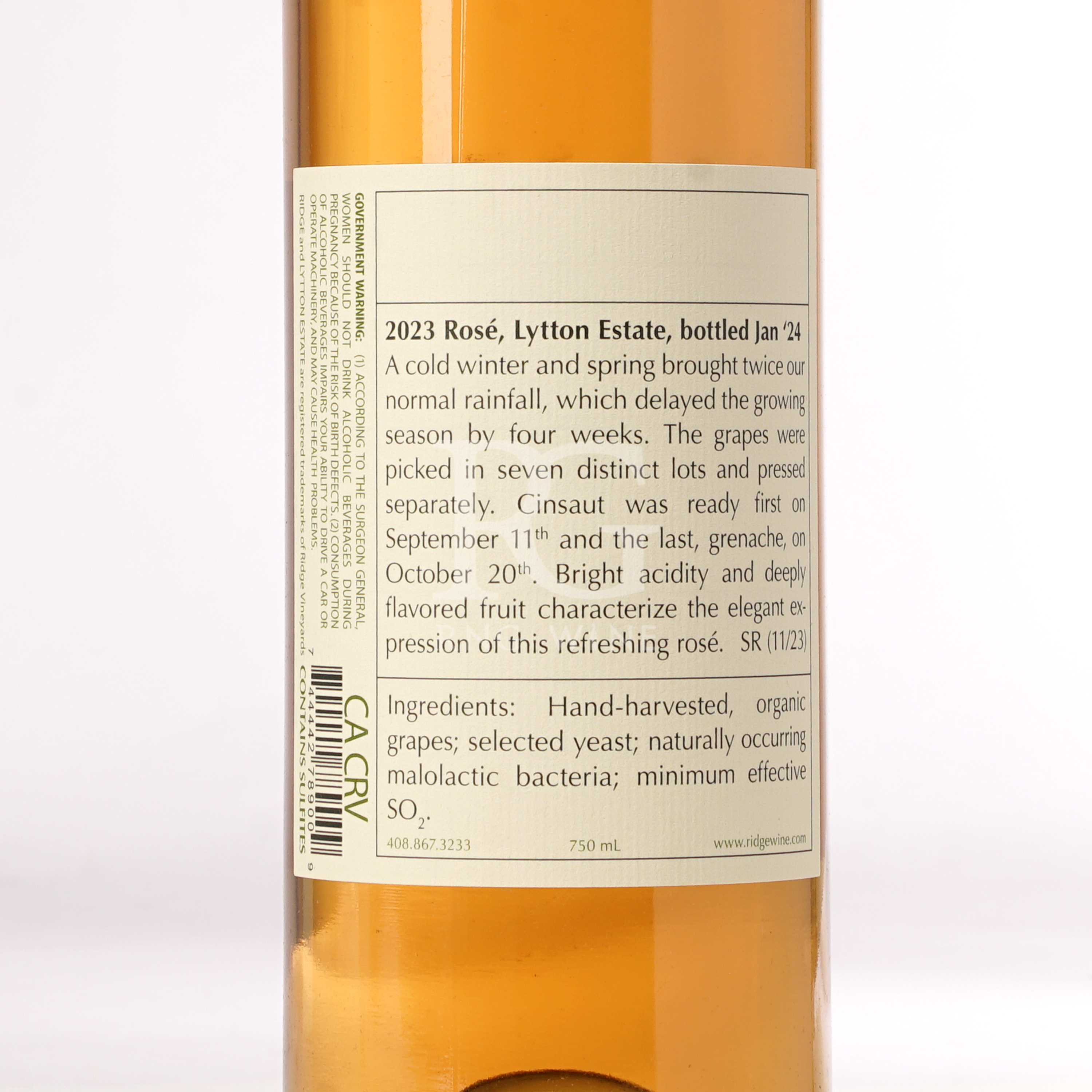Ridge Lytton Estate Rose 2023