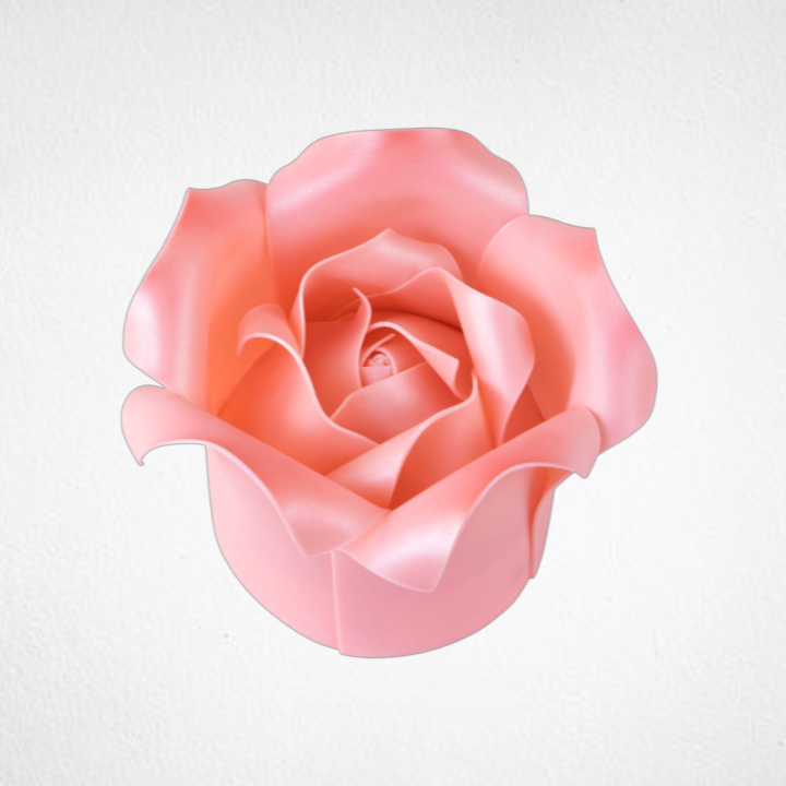 Pink Rose Cake PTW018L