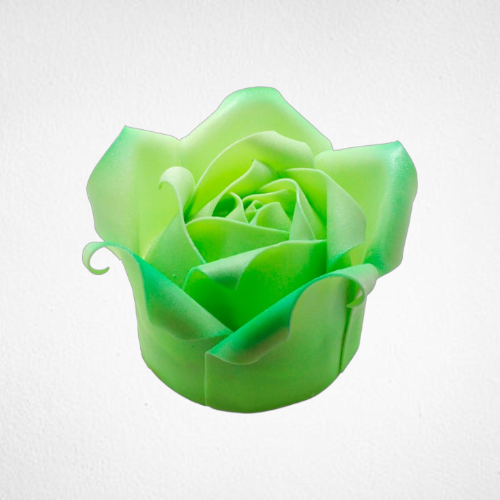 Apple Green Rose Cake PTW013
