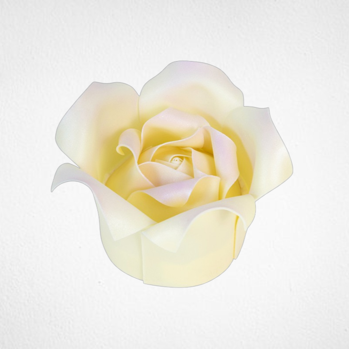 Ivory Chocolate Rose Cake PTW016