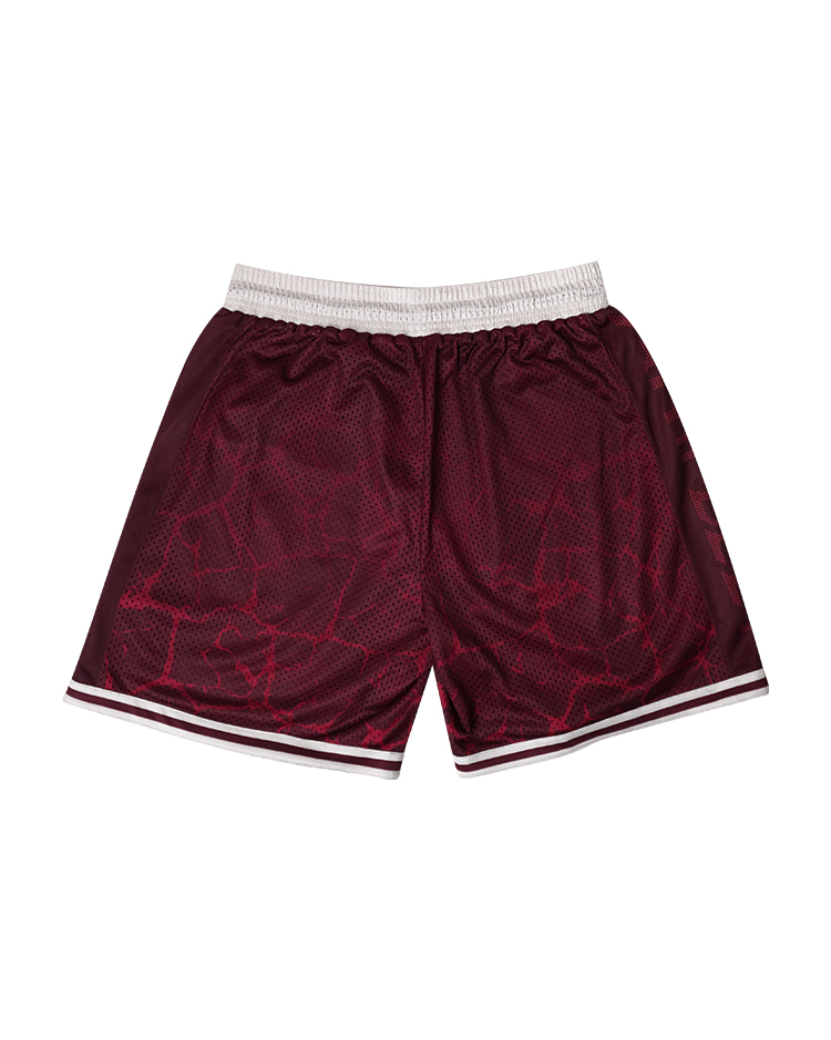 VOYAGE BSK Shorts / 啟航籃球褲 勳章紅