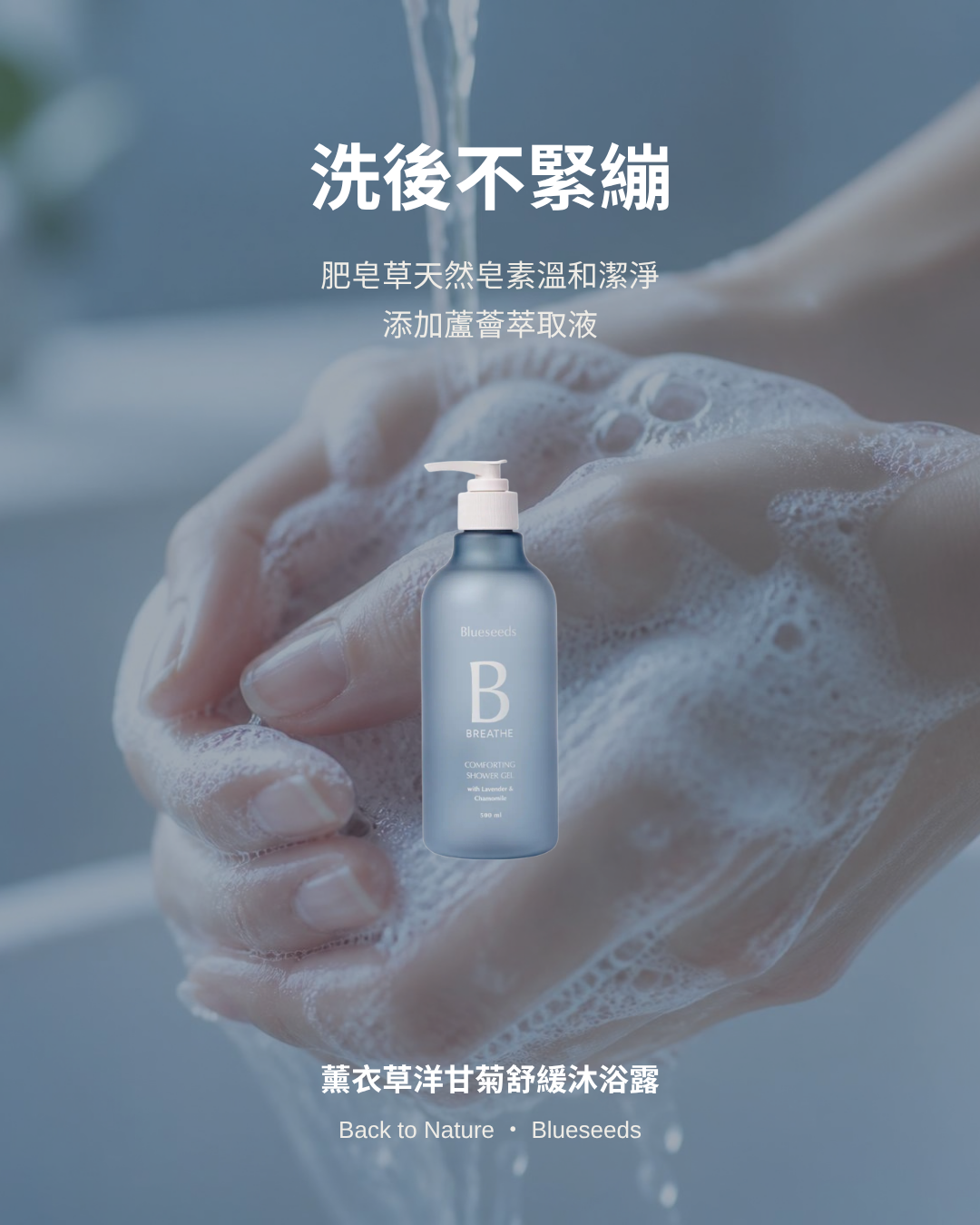 肥皂草洗沐好處：洗後不緊繃