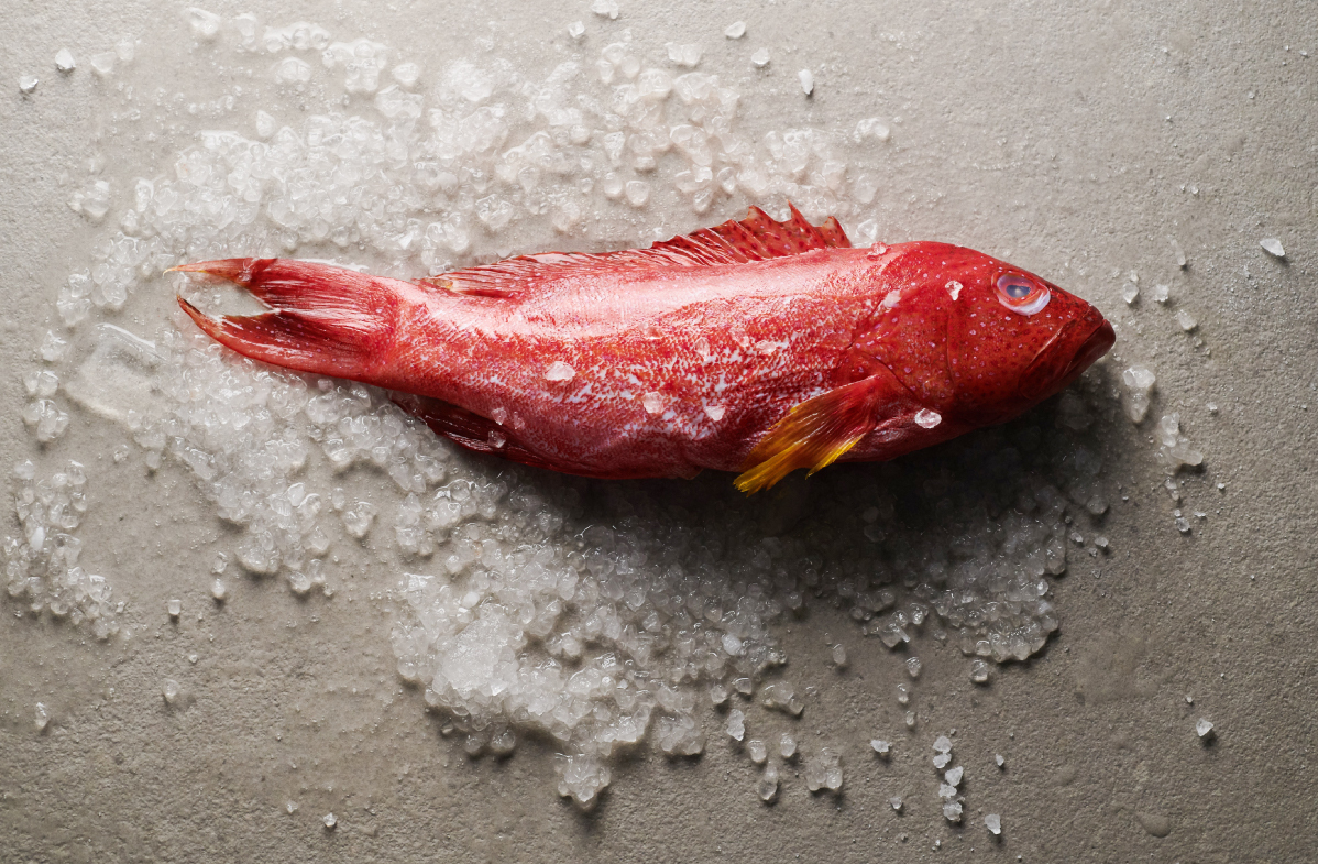 紅條是什麼魚?東星斑差異與3種家常料理
