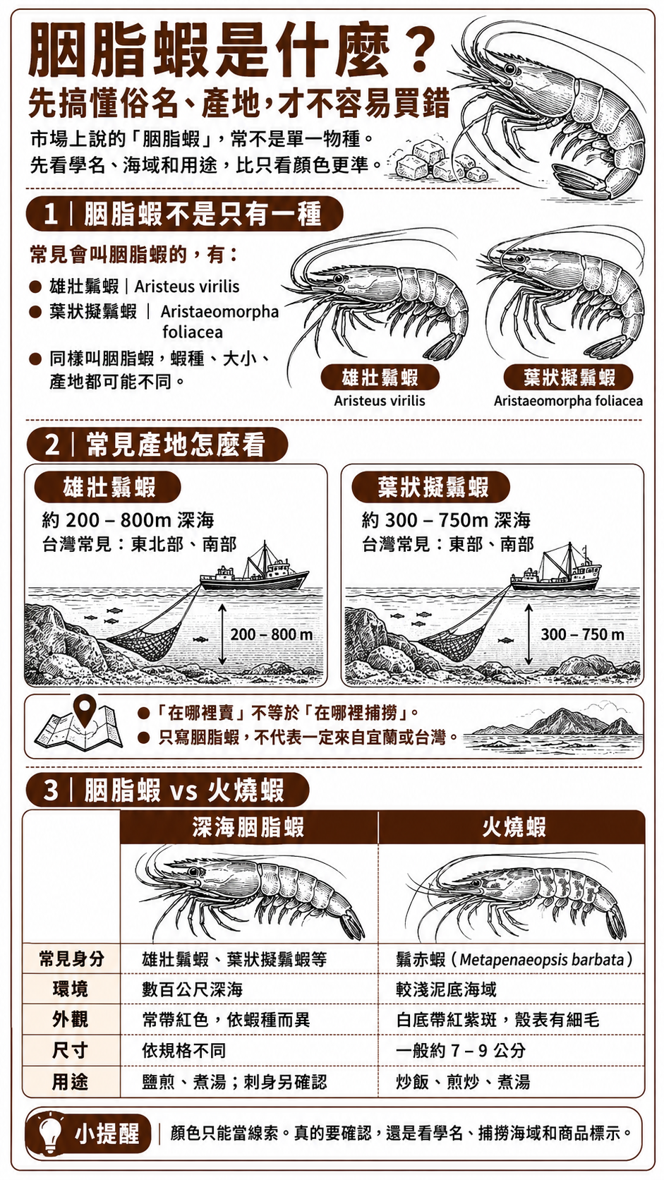挑胭脂蝦看哪些標示?