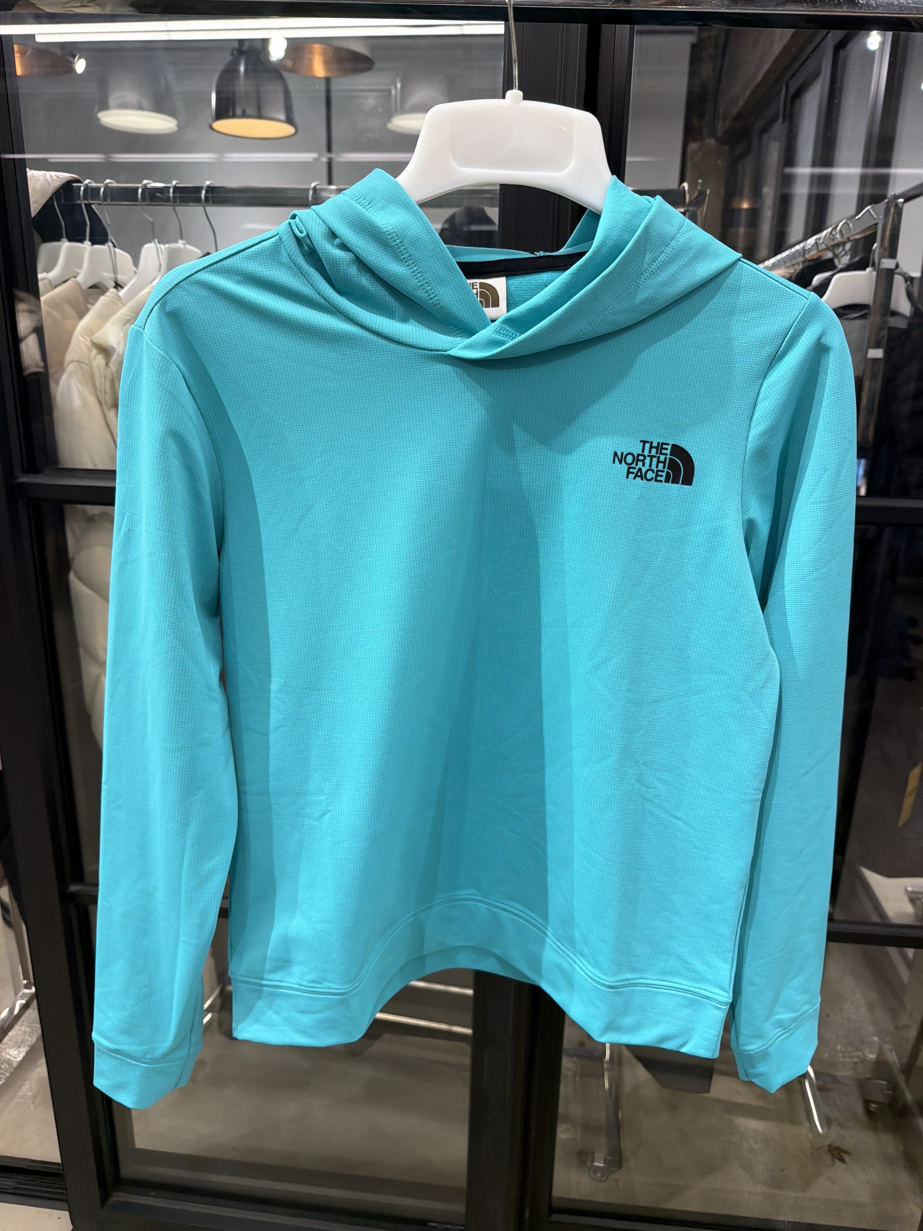 WG99 THE NORTH FACE DAILY LOGO HOOD PULLOVER 1有帽衛衣 -藍綠色 (ONE) (NI5PN54M)