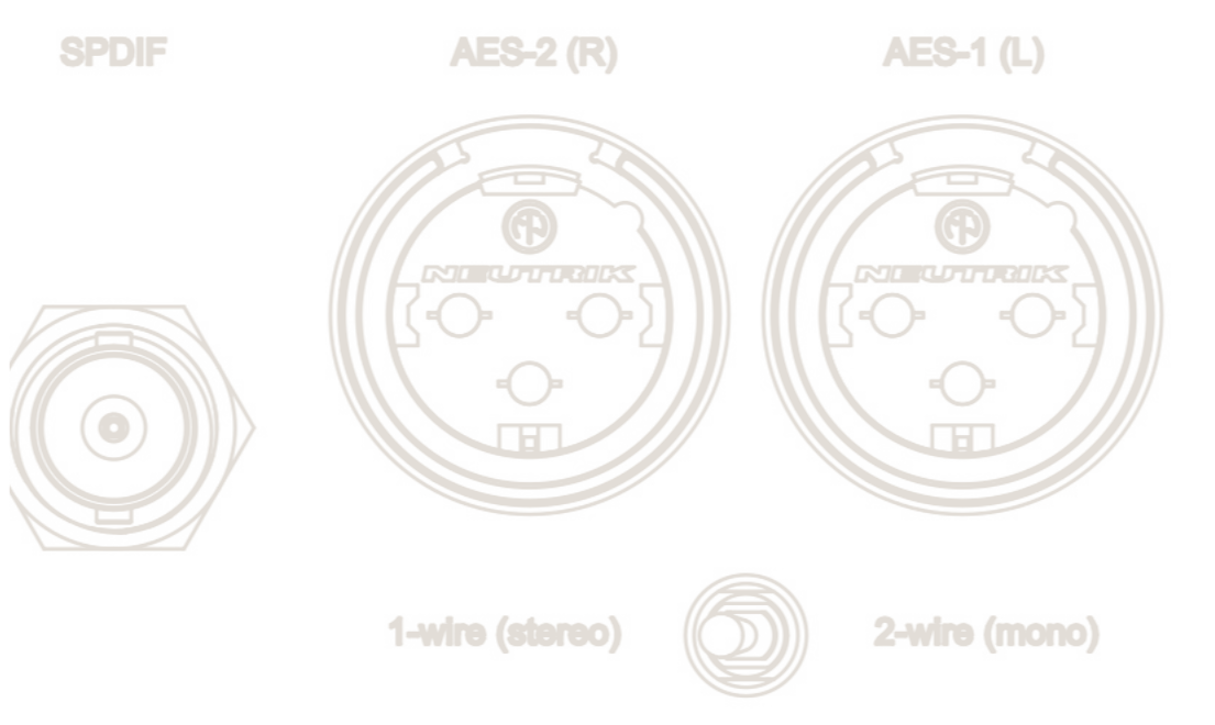 exD konNET DDC 背板｜BNC 同軸及兩組 AES/EBU 輸出