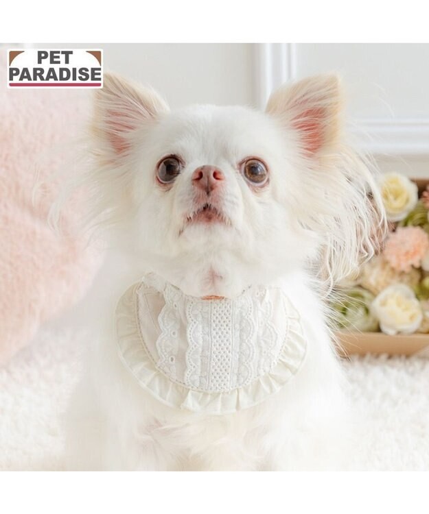 【Pet Paradise】Quilted Lace Bib Collar - White <918-41750>