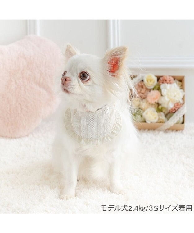 【Pet Paradise】Quilted Lace Bib Collar - White <918-41750>