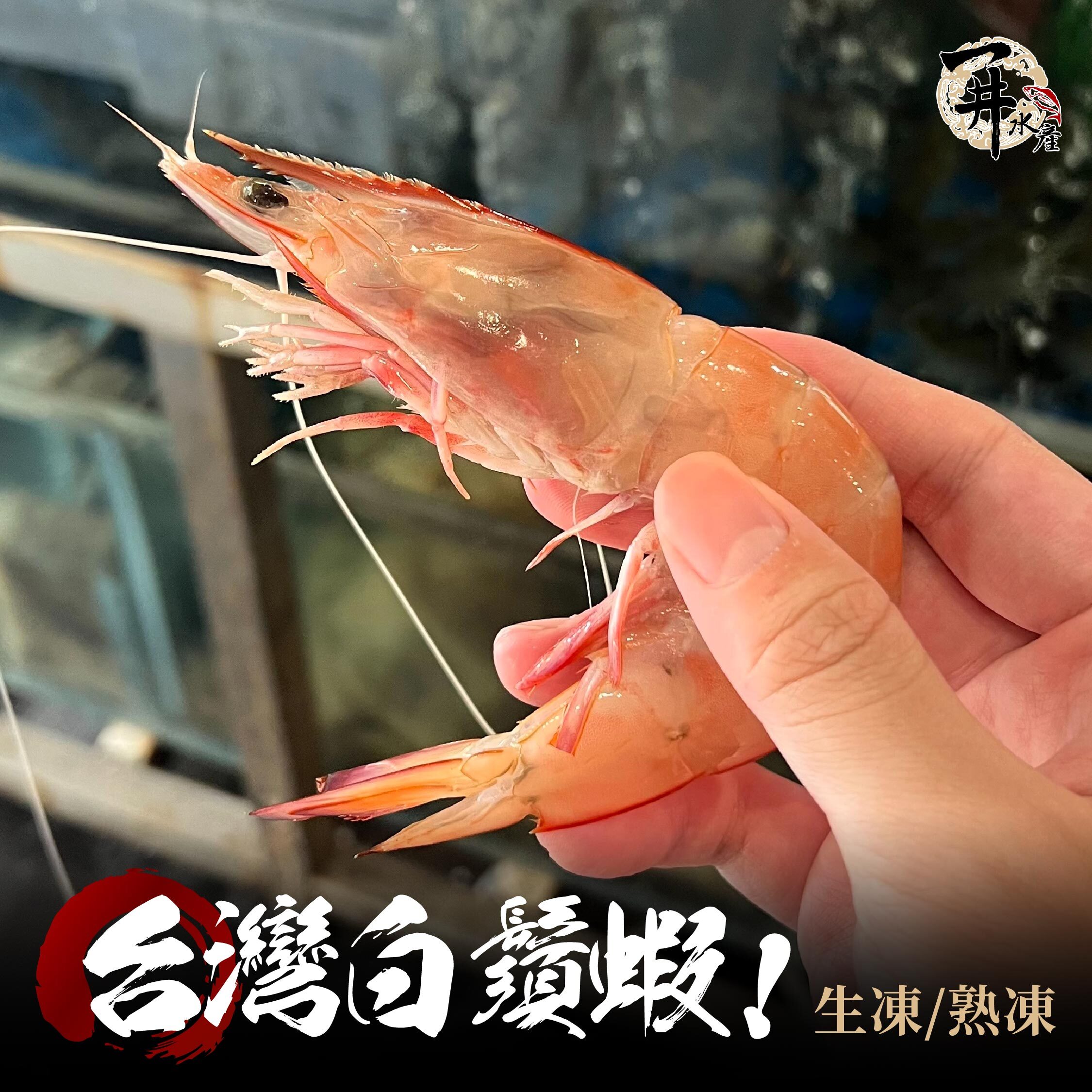 台灣本港 熟凍白鬚蝦｜野生白秋蝦・在地海蝦