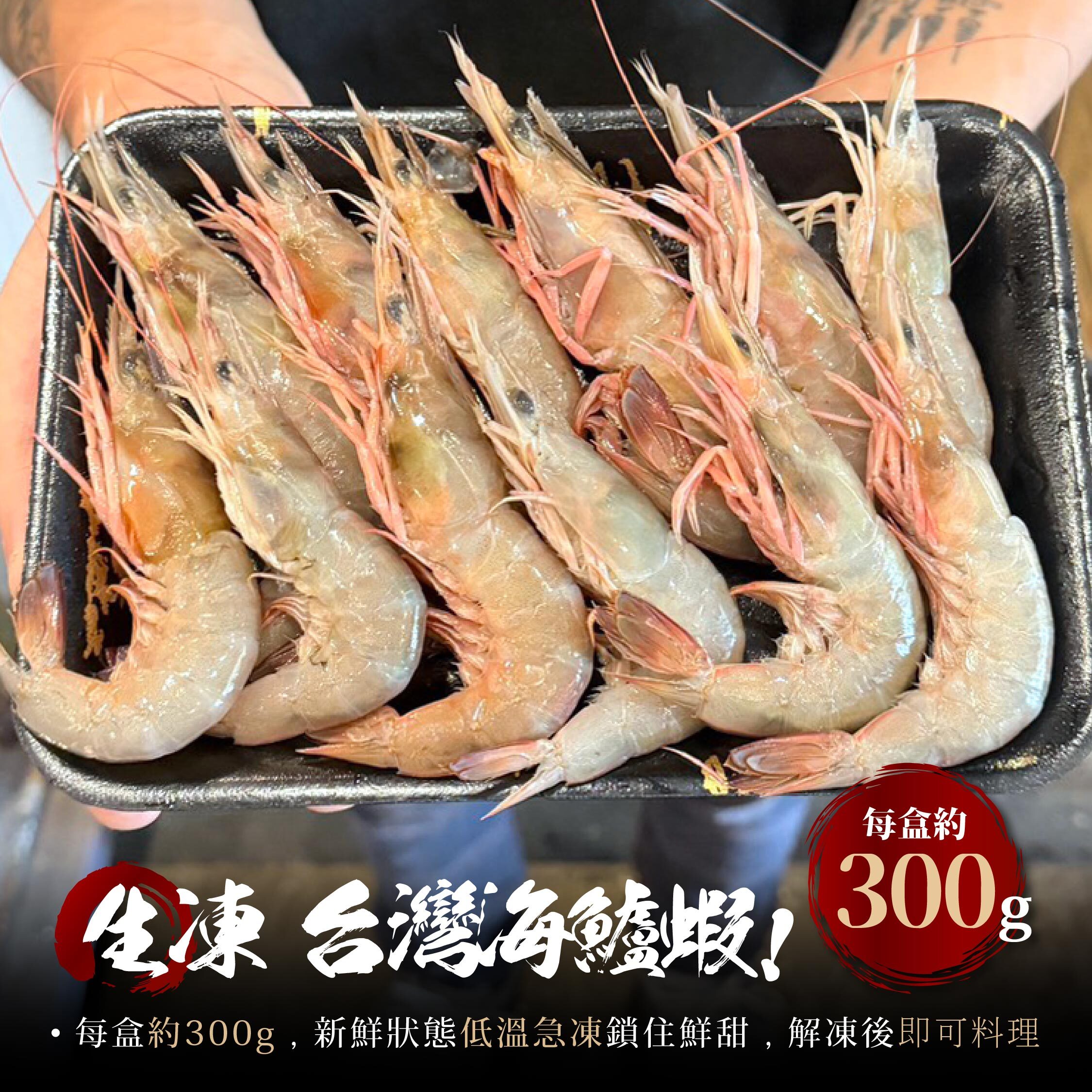 野生海鱸蝦｜海蘆蝦・劍角新對蝦