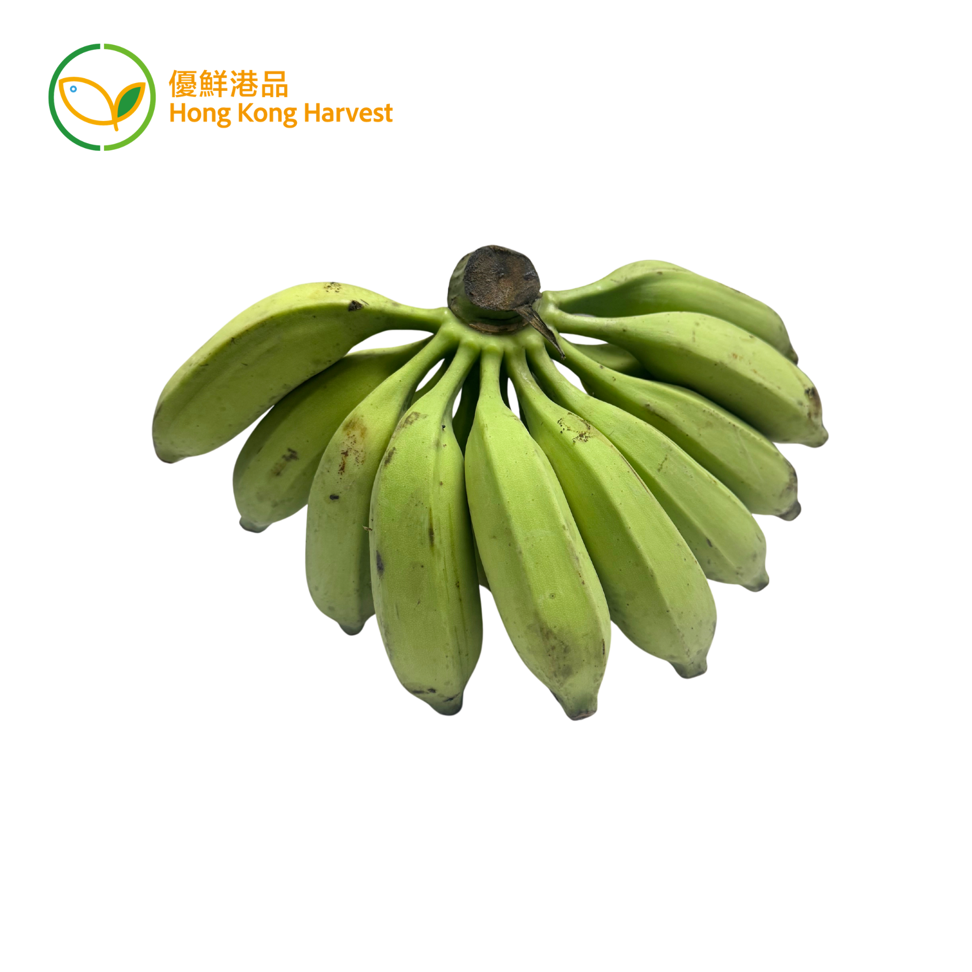 Hong Kong Harvest - Local Organic Banana (CATTY)