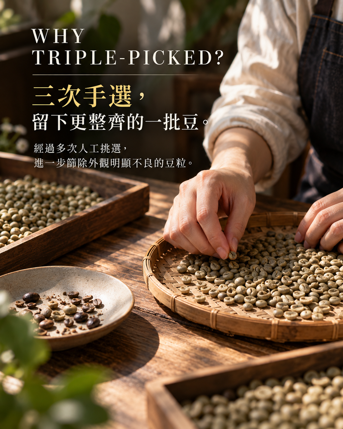 印尼 Gayo 曼特寧 黑森林 三次手選｜半水洗・中深焙｜453g