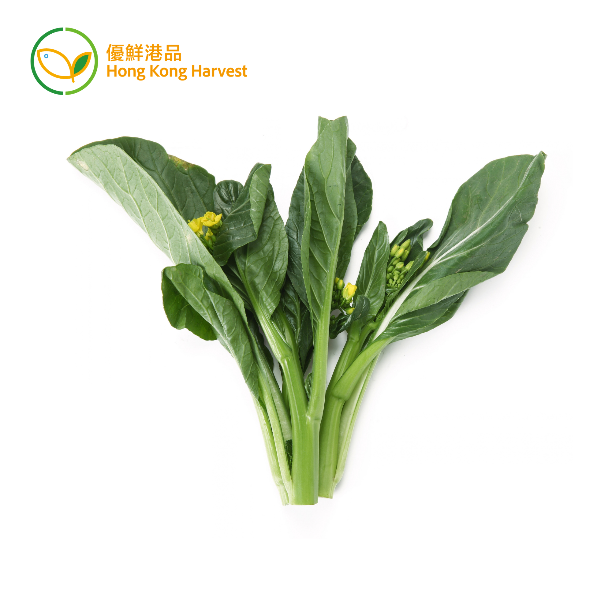 優鮮港品 - 本地有機菜心（/仔） (斤)