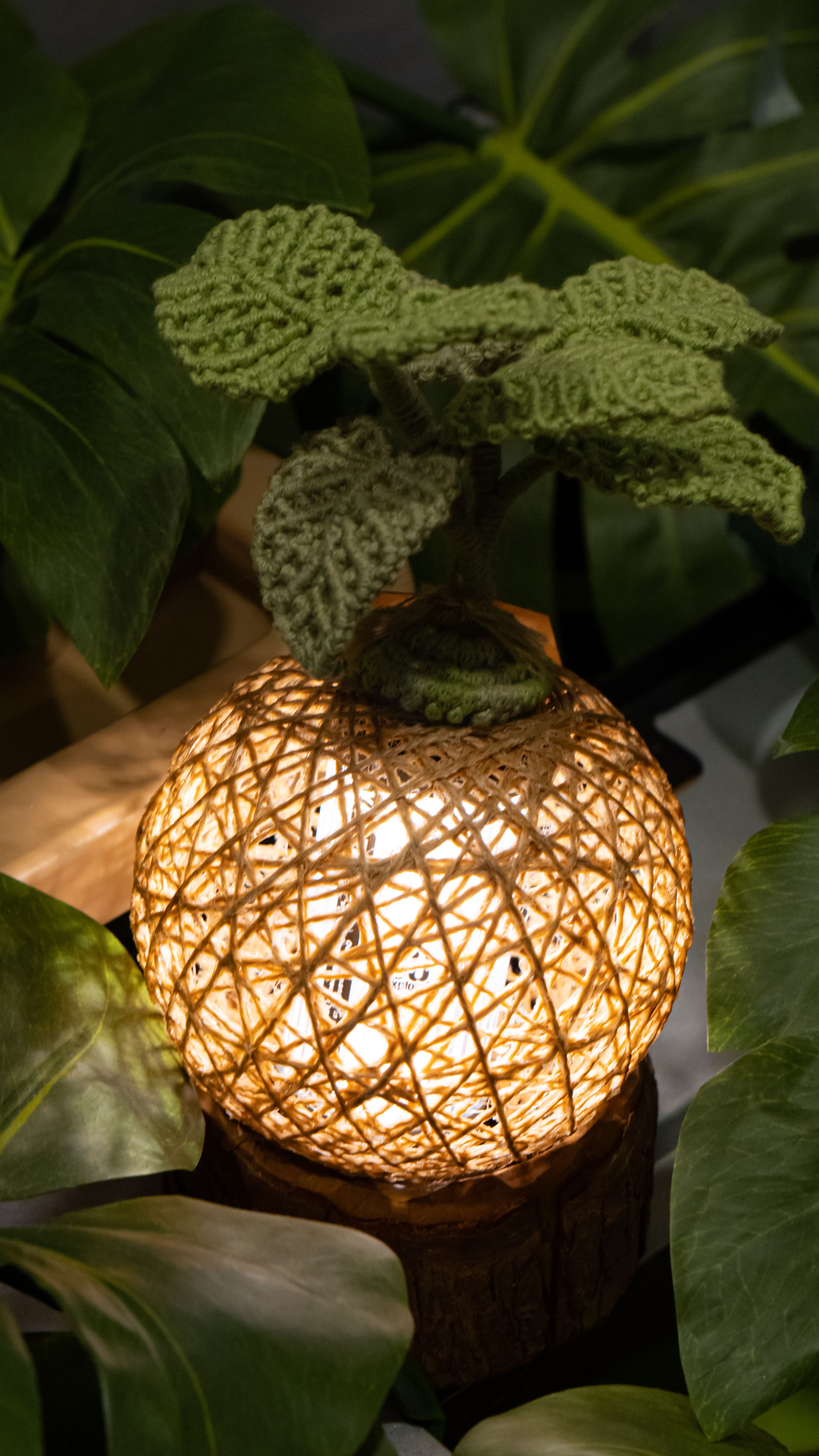 KnotKnotWorld Kokedama 編葉光球燈