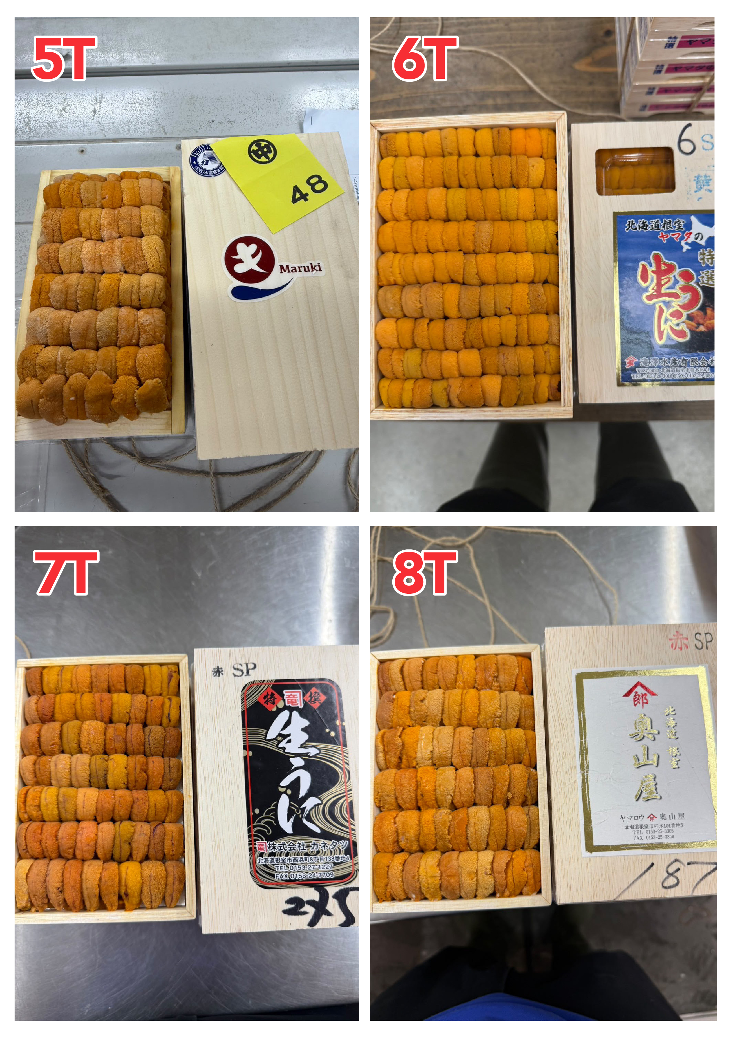 【指定海膽推薦】每天更新 (限即日落單, 翌日送)