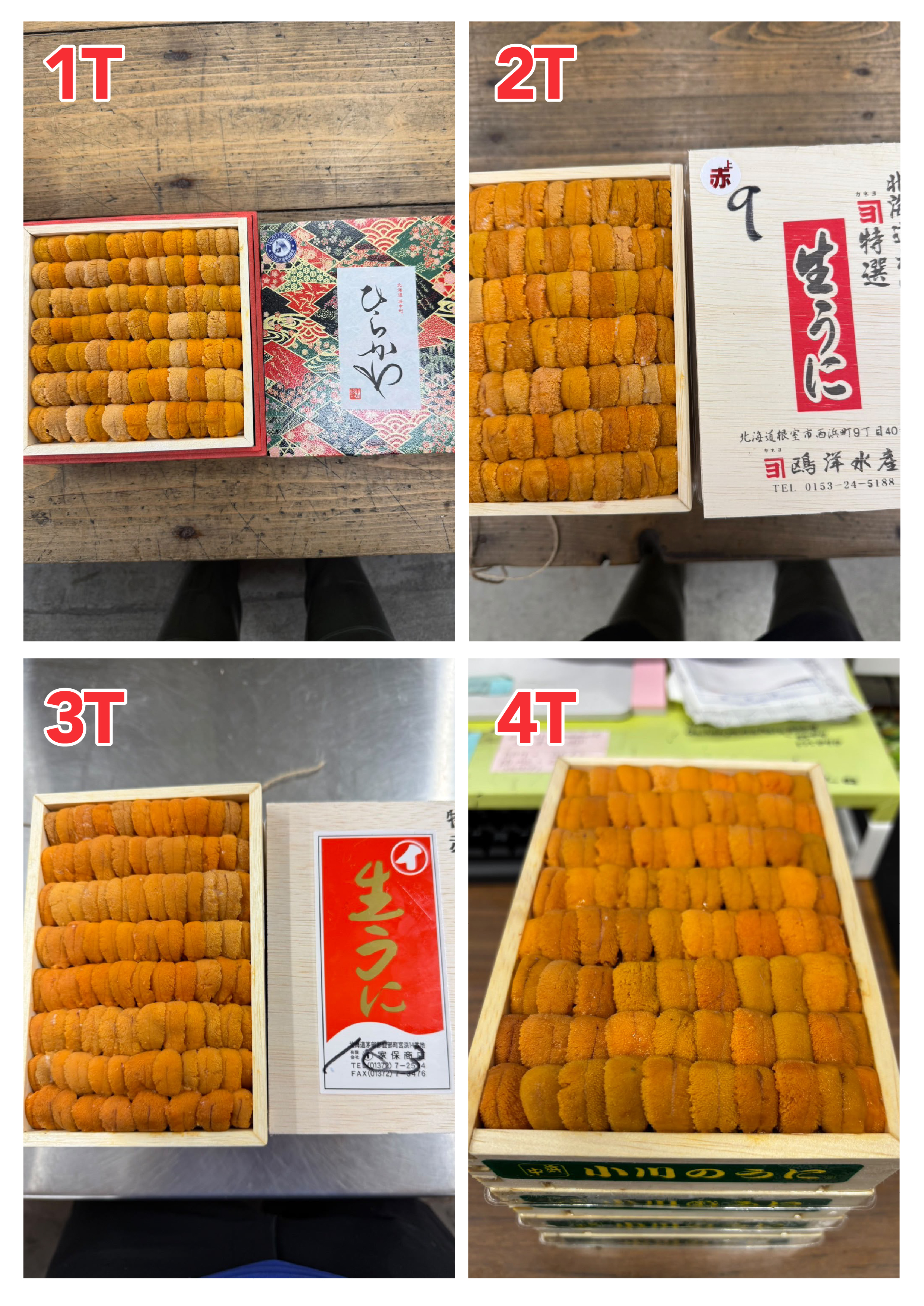 【指定海膽推薦】每天更新 (限即日落單, 翌日送)