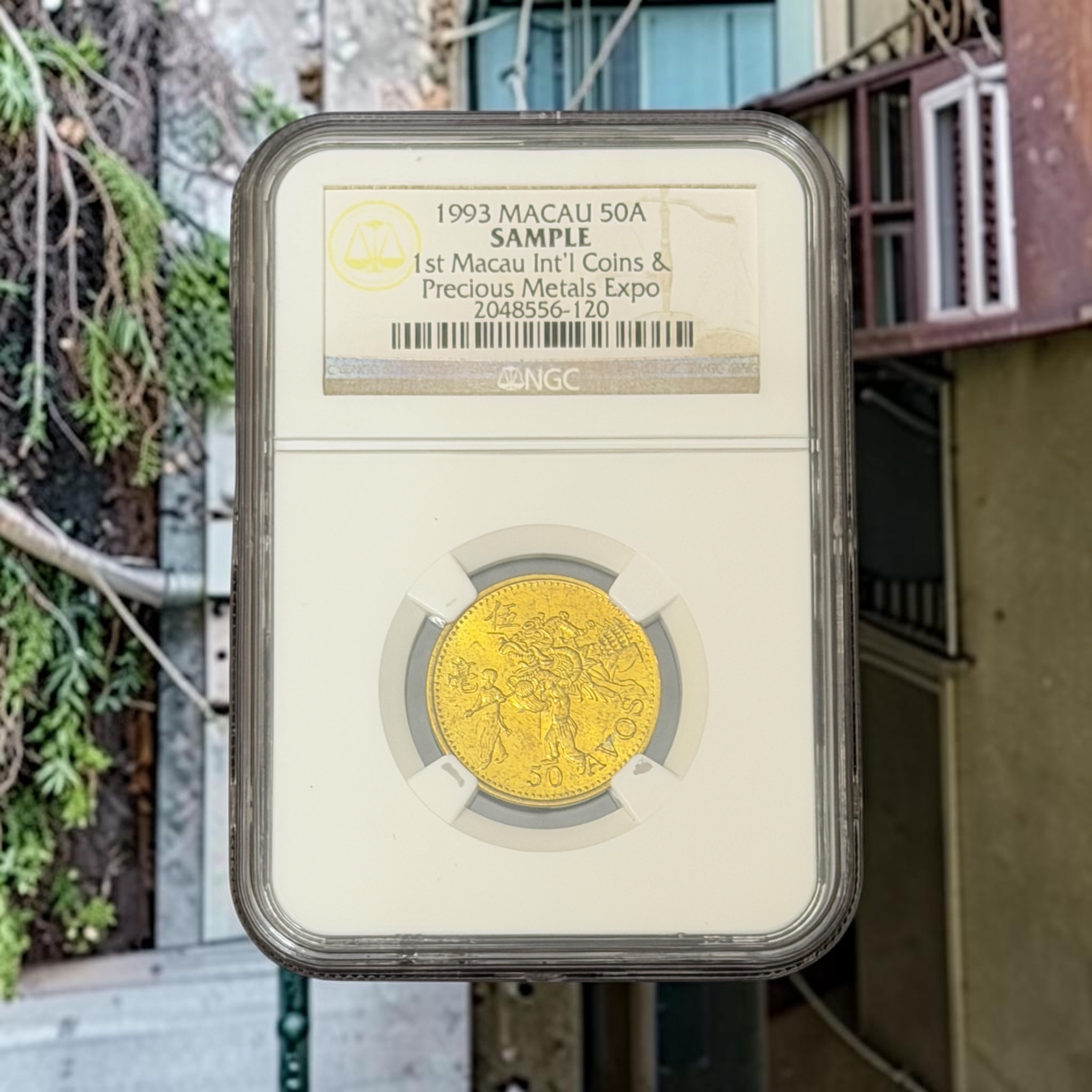 1993年澳門 50 Avos (NGC Sample)