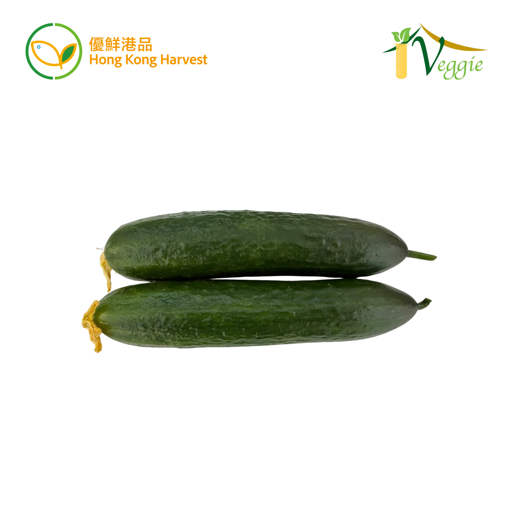 優鮮港品 - 本地水耕青瓜 300g/包