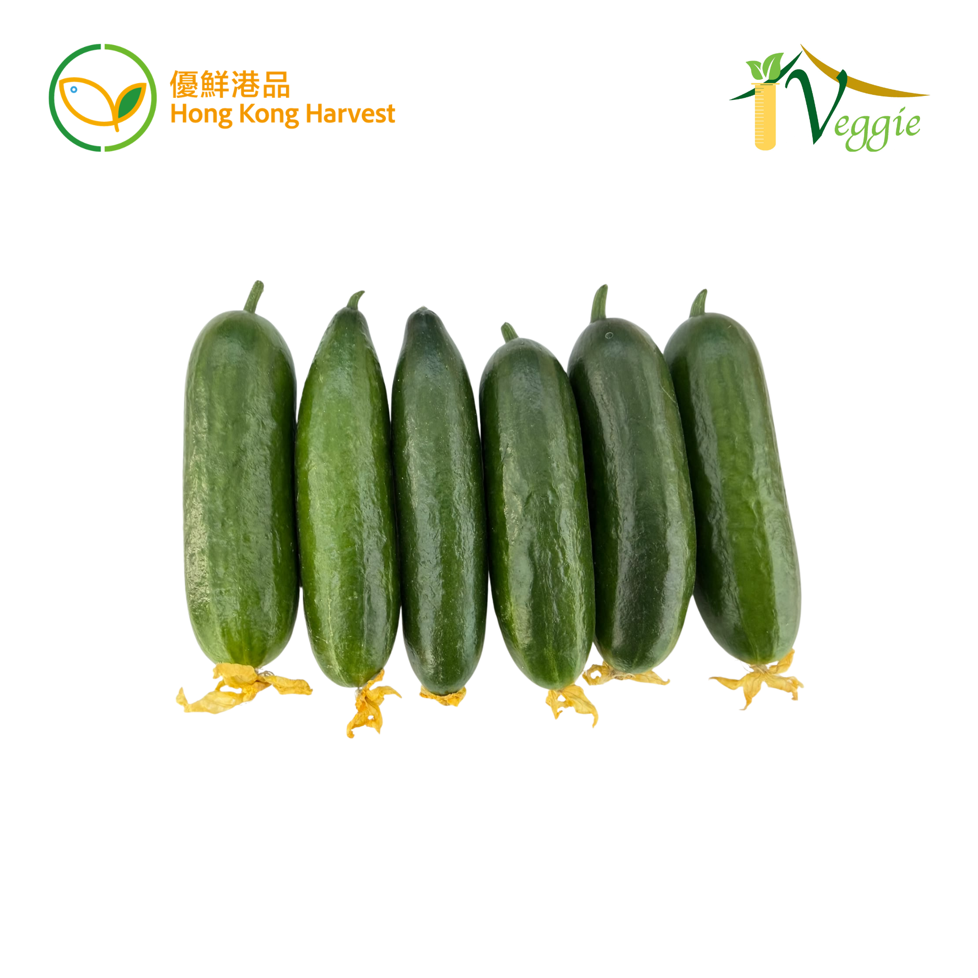 HONG KONG HARVEST - Local hydroponic Mini-cucumber 300g/bag