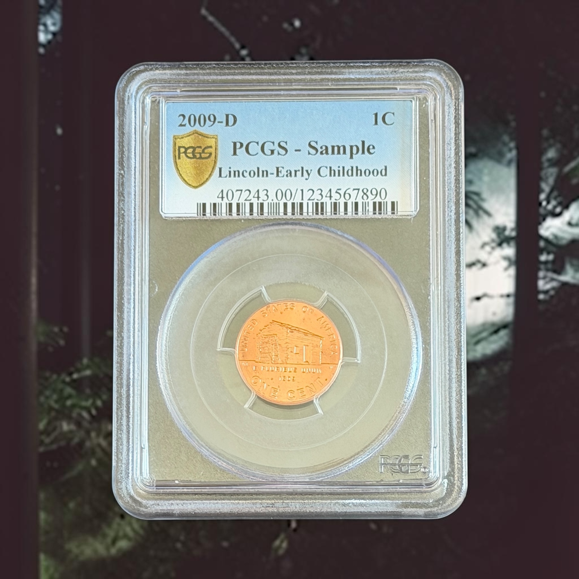 2009D版美國林肯薩誕200週年系列一美分 (PCGS Sample)