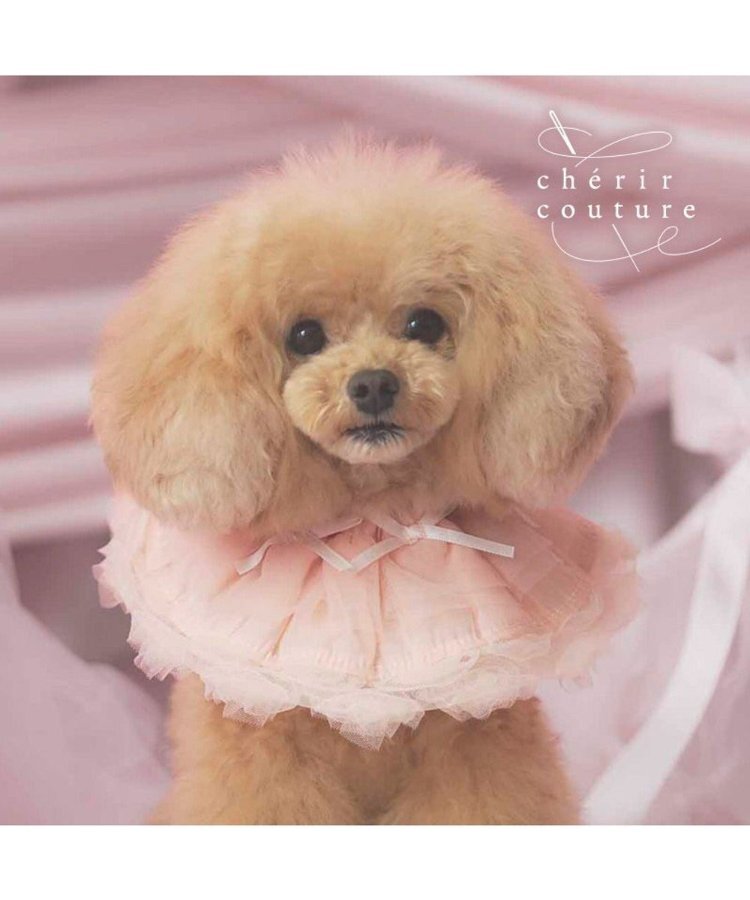 【Pet Paradise】chérir couture Big Ribbon Bib - Pink <275-43685>