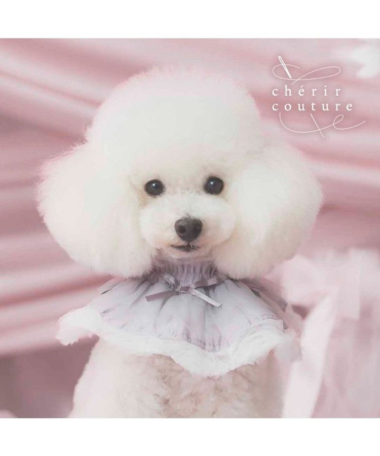 【Pet Paradise】chérir couture Big Ribbon Bib - Grey <275-43688>