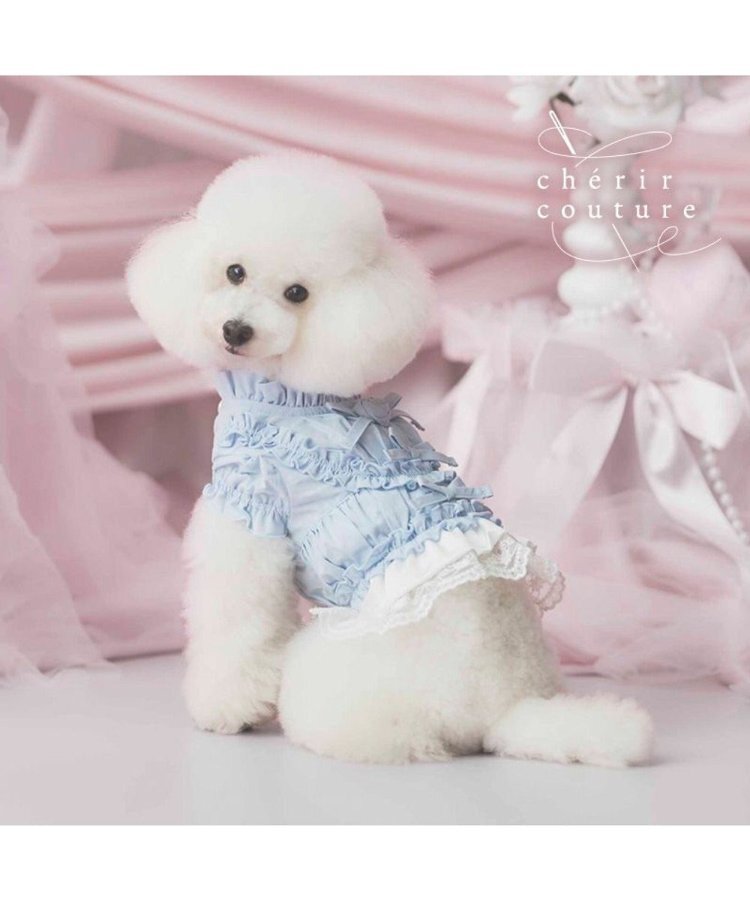 【Pet Paradise】chérir couture Frill Shirt - Light Blue <275-43836>