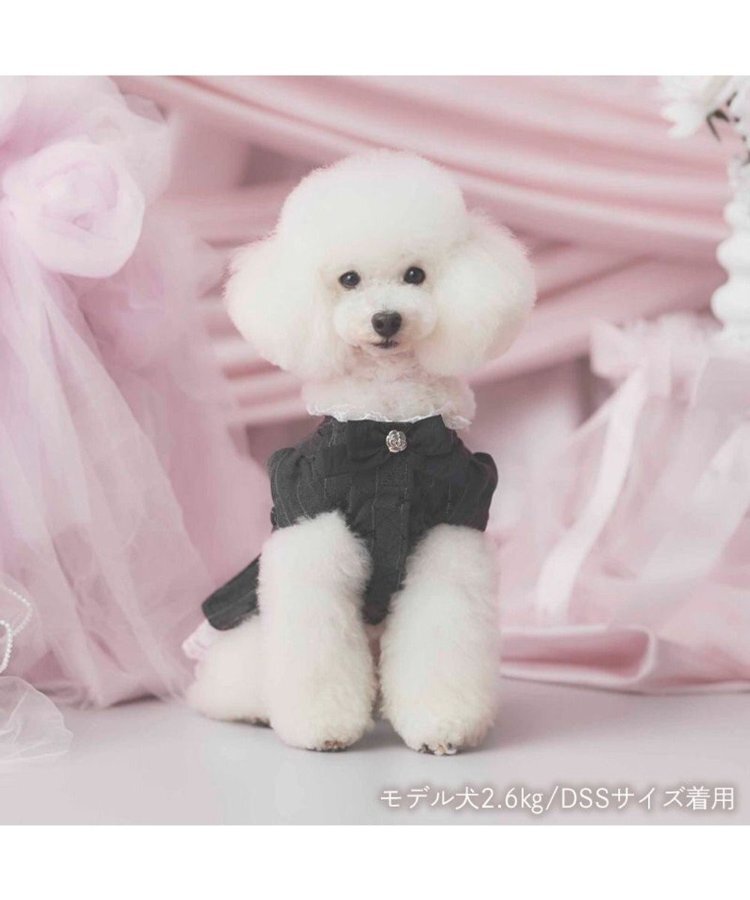 【Pet Paradise】chérir couture Jacket Dress - Black <275-43891>