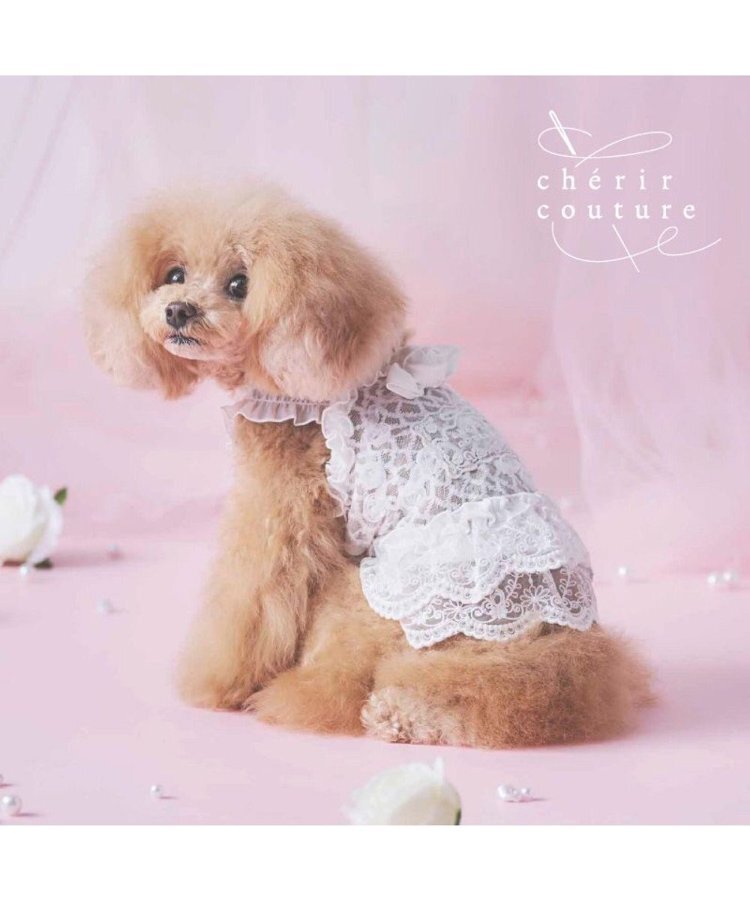 【Pet Paradise】chérir couture All-Lace Camisole - White <275-43240>