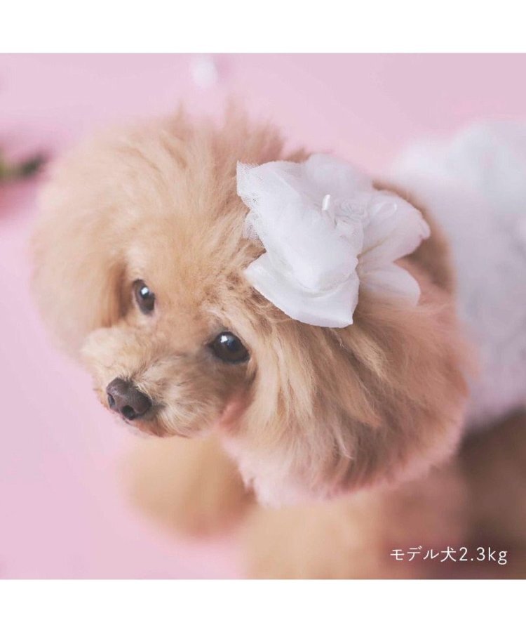 【Pet Paradise】chérir couture Ribbon Hair Accessory - White <275-43128>