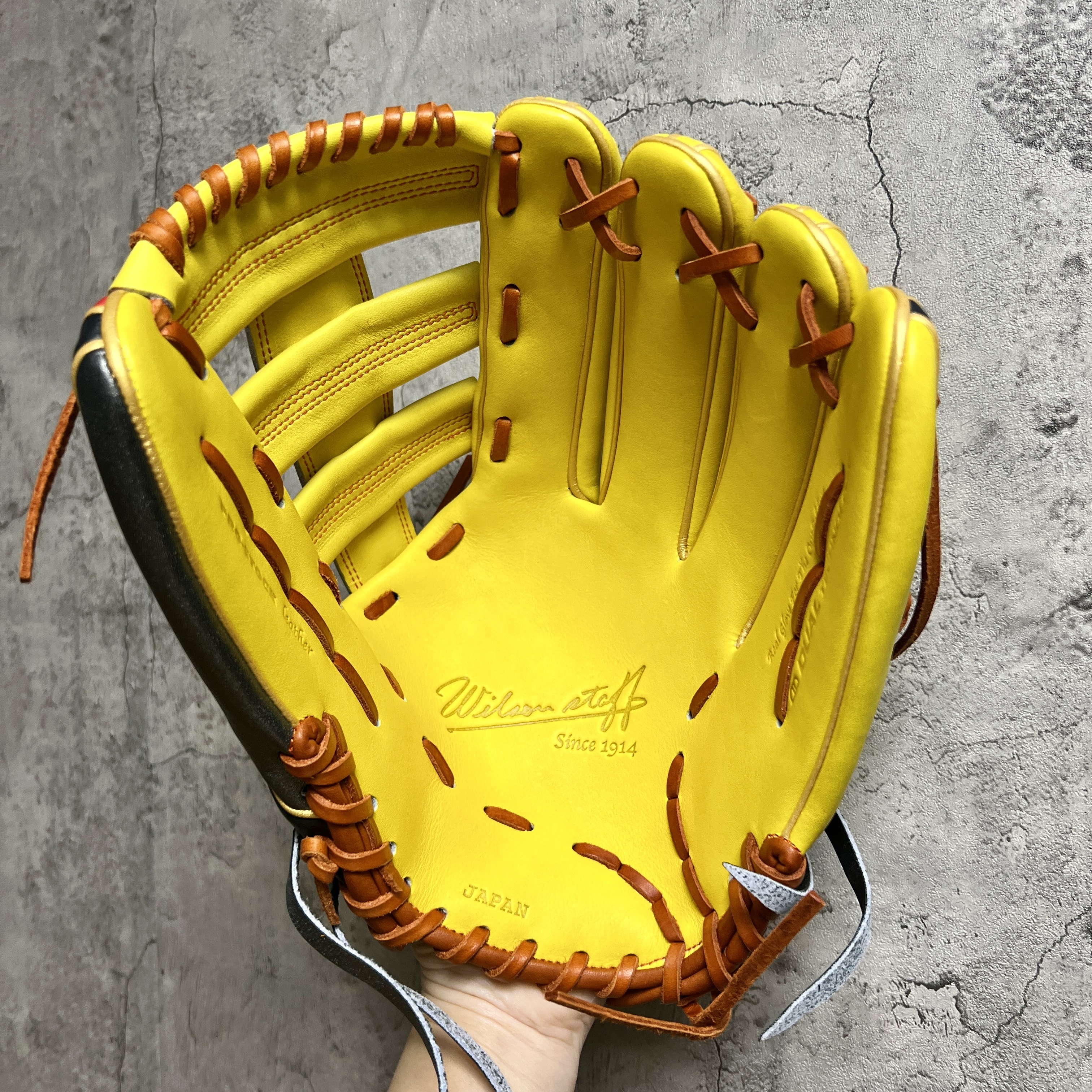【照片分享】Wilson 硬式 外野 75型