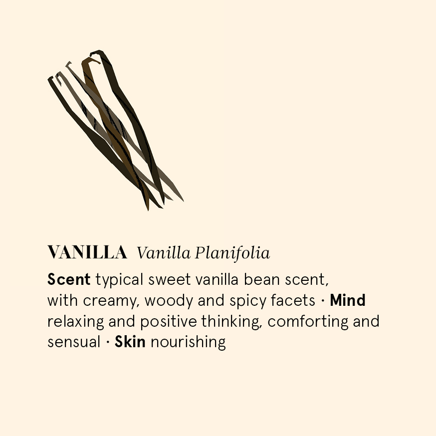 香草精油 Vanilla 精油磚圖卡