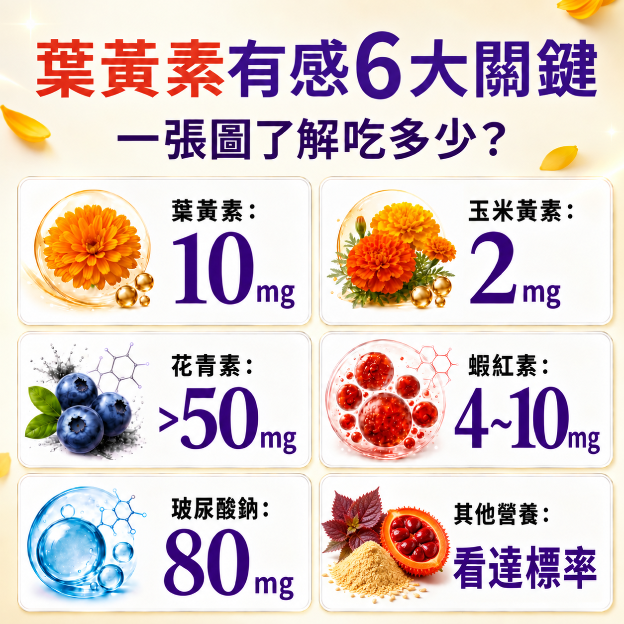 葉黃素6大關鍵一張圖了解吃多少——葉黃素10mg、玉米黃素2mg、花青素50mg以上、蝦紅素4至10mg、玻尿酸鈉80mg、其他營養看達標率