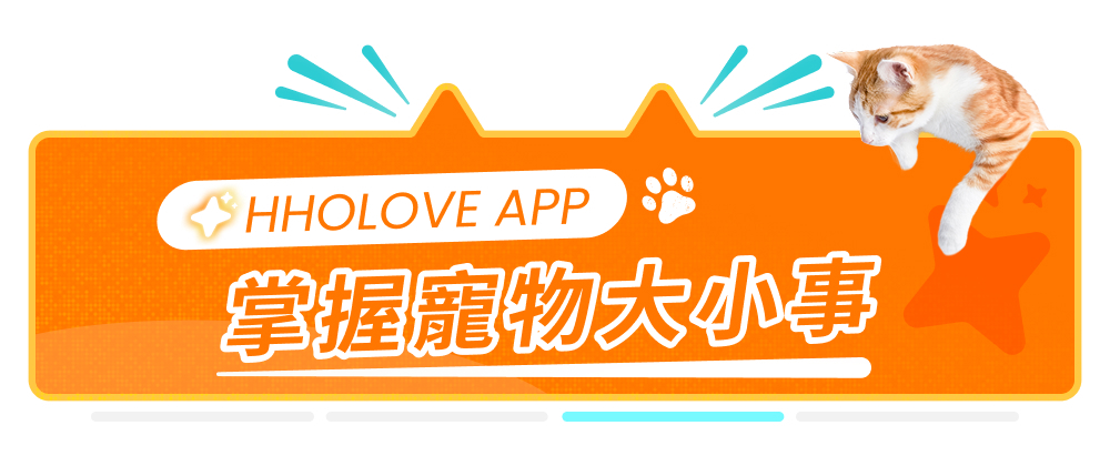 YUNO AI 全景智慧寵物餵食器HHOLOVE APP